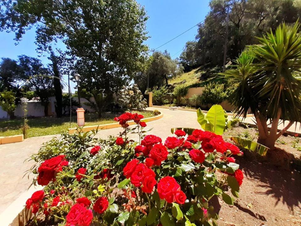 Villa Silvia Ágios Matthaíos Exteriér fotografie